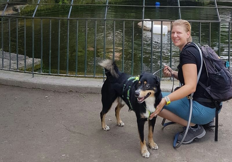 Hundetraining im Zoo mit Jana und Snoep